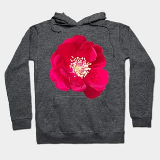 Red flower photo Hoodie